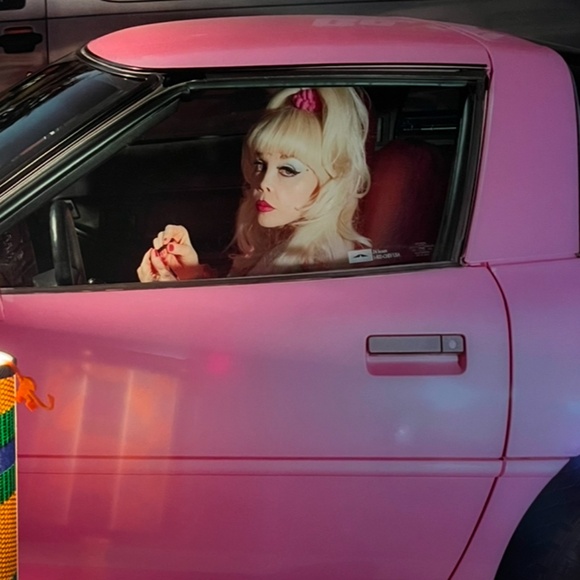 Meet your Posher, Sam - Picture 1 of 1